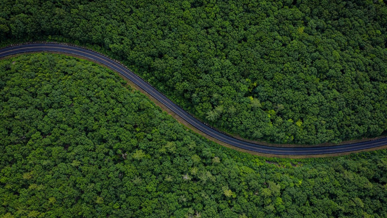 Greenwashing? nein, danke! - Wie what when why Events wirklich nachhaltig macht